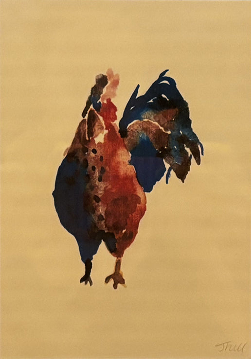 Cockerel